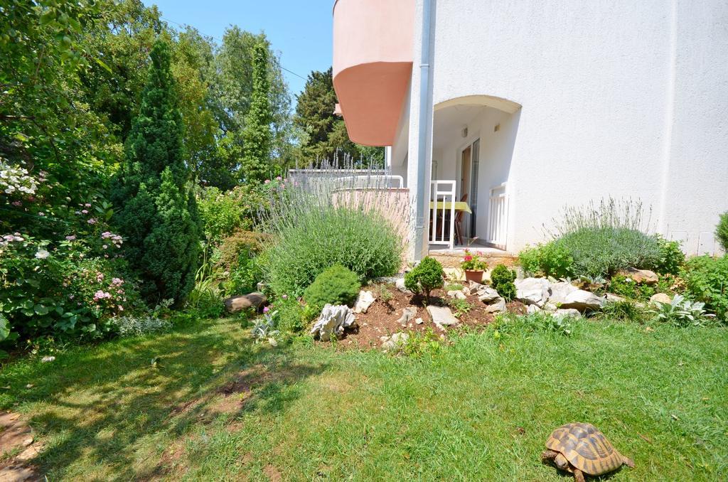 Apartments Snjezana Novi Vinodolski Buitenkant foto